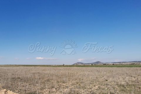 Helårsgrund i Yecla, Murcia, Yecla - € 29.900 | Ref: SF0304 - foto 8